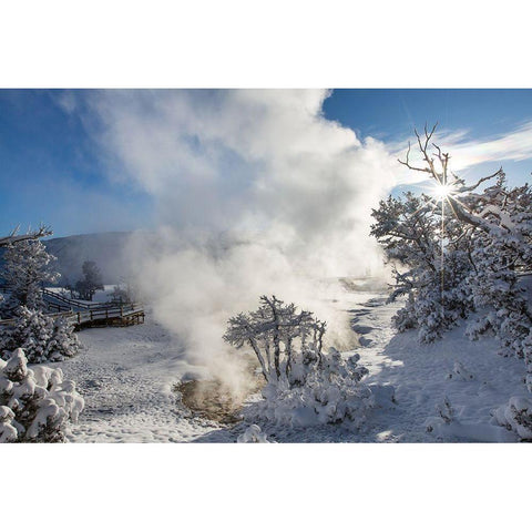 Snowy Sunrise, Mammoth Hot Springs, Yellowstone National Park White Modern Wood Framed Art Print by The Yellowstone Collection