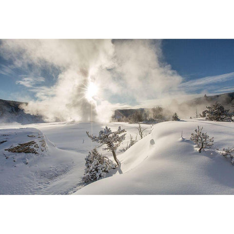 Snowy Sunrise, Mammoth Hot Springs, Yellowstone National Park Black Modern Wood Framed Art Print with Double Matting by The Yellowstone Collection