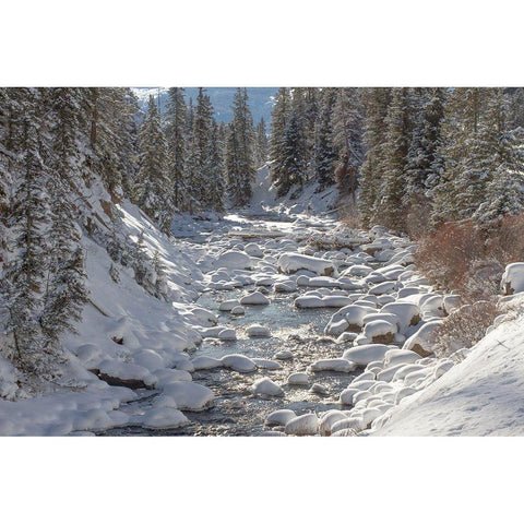 Soda Butte Creek, Yellowstone National Park White Modern Wood Framed Art Print by Renkin, Diane