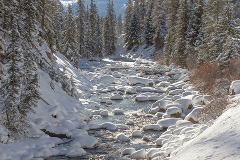 Soda Butte Creek, Yellowstone National Park White Modern Wood Framed Art Print with Double Matting by Renkin, Diane