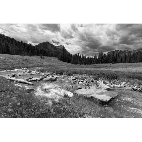 Soda Butte Creek McLaren Mine Restoration Site, Yellowstone National Park White Modern Wood Framed Art Print by Frank, Jacob W.