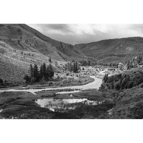 Spring along the Gardner River, Yellowstone National Park Black Modern Wood Framed Art Print with Double Matting by Frank, Jacob W.