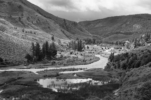 Spring along the Gardner River, Yellowstone National Park White Modern Wood Framed Art Print with Double Matting by Frank, Jacob W.