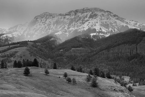 Spring Snow, Lamar Valley, Yellowstone National Park Black Ornate Wood Framed Art Print with Double Matting by The Yellowstone Collection