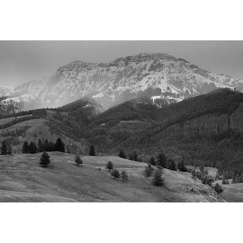 Spring Snow, Lamar Valley, Yellowstone National Park Black Modern Wood Framed Art Print with Double Matting by The Yellowstone Collection