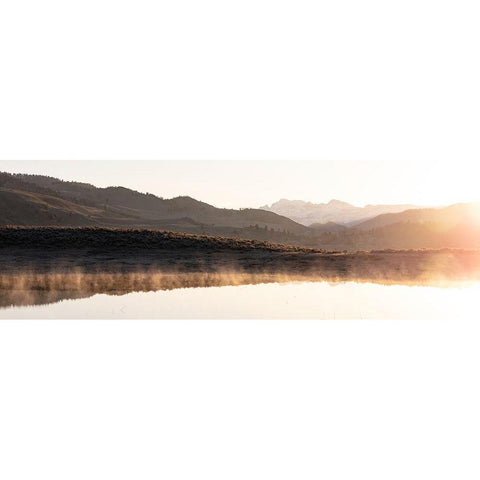 Steam from Ephemeral Ponds, Yellowstone National Park Gold Ornate Wood Framed Art Print with Double Matting by The Yellowstone Collection