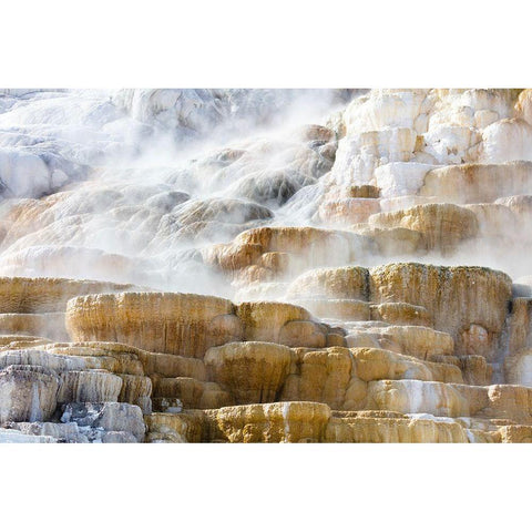 Steam Rising from Palete Spring, Yellowstone National Park Gold Ornate Wood Framed Art Print with Double Matting by Frank, Jacob W.