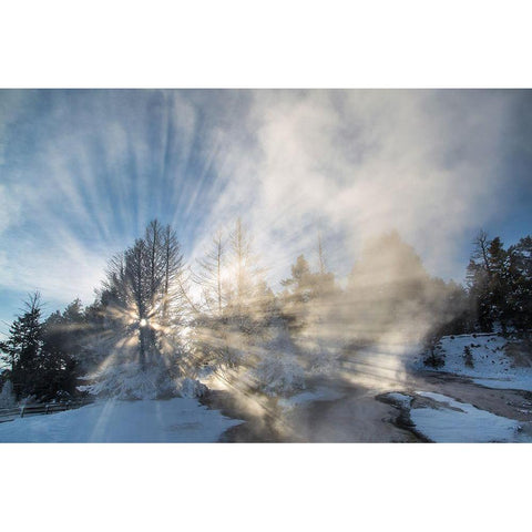 Steam Shadow at Dryad Spring, Yellowstone National Park Gold Ornate Wood Framed Art Print with Double Matting by The Yellowstone Collection