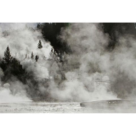 Porcelain Basin, Norris Geyser Basin, Yellowstone National Park Black Modern Wood Framed Art Print with Double Matting by Peaco, Jim