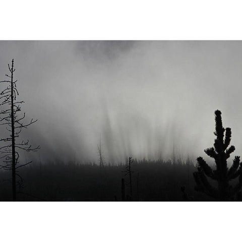 Roaring Mountain, Yellowstone National Park Black Modern Wood Framed Art Print by The Yellowstone Collection