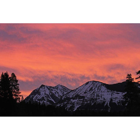 Sunrise in the upper Soda Butte Valley, Yellowstone National Park Gold Ornate Wood Framed Art Print with Double Matting by The Yellowstone Collection