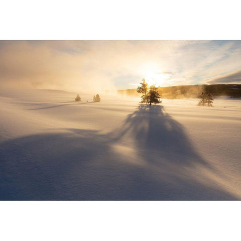 Sunrise near Terrace Spring, Yellowstone National Park Gold Ornate Wood Framed Art Print with Double Matting by The Yellowstone Collection