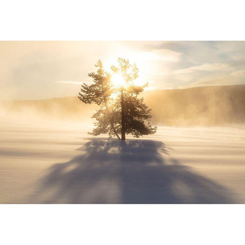 Sunrise near Terrace Spring, Yellowstone National Park Gold Ornate Wood Framed Art Print with Double Matting by The Yellowstone Collection