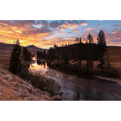 Sunrise over Lamar River, Yellowstone National Park Gold Ornate Wood Framed Art Print with Double Matting by Frank, Jacob W.