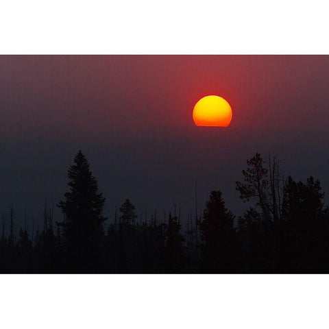 Sunrise over the Beartooth Plateau, Yellowstone National Park Gold Ornate Wood Framed Art Print with Double Matting by The Yellowstone Collection