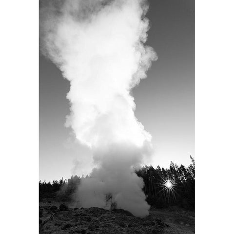 Steamboat Geyser, Yellowstone National Park Gold Ornate Wood Framed Art Print with Double Matting by Frank, Jacob W.