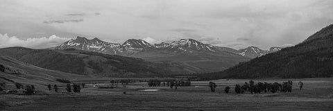 Sunset in Lamar Valley, Yellowstone National Park Black Ornate Wood Framed Art Print with Double Matting by The Yellowstone Collection