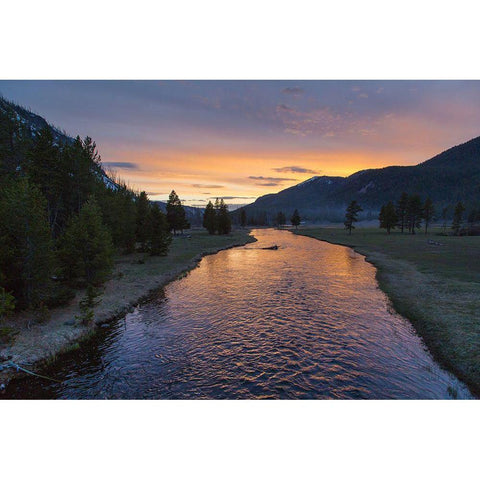 Sunset on the Madison River, Yellowstone National Park Gold Ornate Wood Framed Art Print with Double Matting by Herbert, Neal