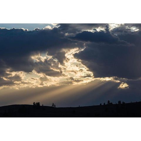 Sunset, Lamar Valley, Yellowstone National Park Gold Ornate Wood Framed Art Print with Double Matting by The Yellowstone Collection