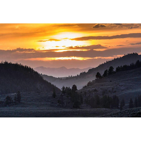 Sunset, Lamar Valley, Yellowstone National Park Gold Ornate Wood Framed Art Print with Double Matting by The Yellowstone Collection