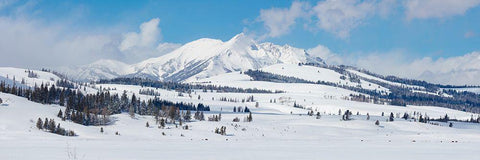 Swan Lake Flat panorama with Electric Peak, Yellowstone National Park Black Ornate Wood Framed Art Print with Double Matting by The Yellowstone Collection