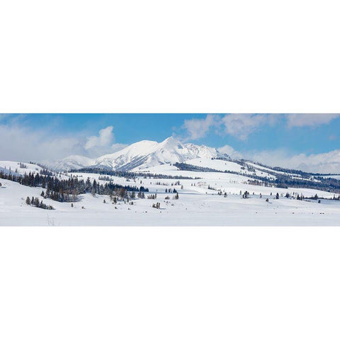 Swan Lake Flat panorama with Electric Peak, Yellowstone National Park Gold Ornate Wood Framed Art Print with Double Matting by The Yellowstone Collection