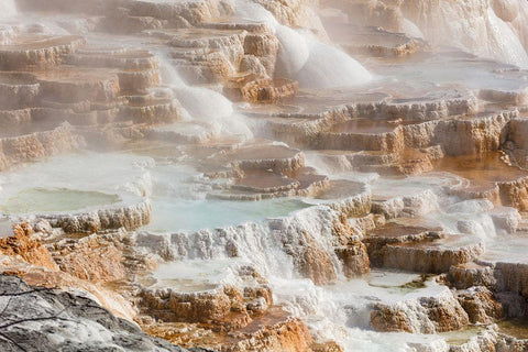 Terraces of Canary Spring, Yellowstone National Park White Modern Wood Framed Art Print with Double Matting by The Yellowstone Collection