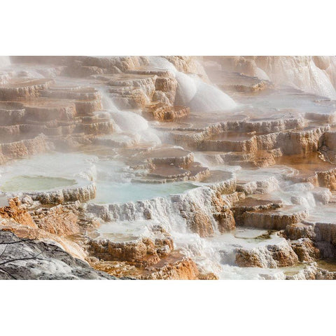 Terraces of Canary Spring, Yellowstone National Park Gold Ornate Wood Framed Art Print with Double Matting by The Yellowstone Collection