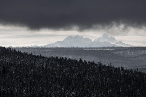 The Tetons from Craig Pass, Yellowstone National Park Black Ornate Wood Framed Art Print with Double Matting by Herbert, Neal