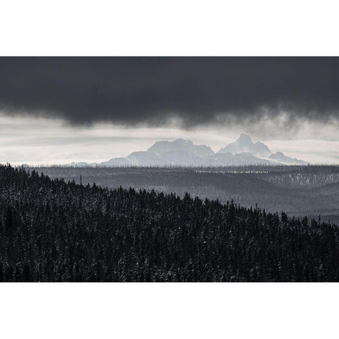 The Tetons from Craig Pass, Yellowstone National Park White Modern Wood Framed Art Print by Herbert, Neal