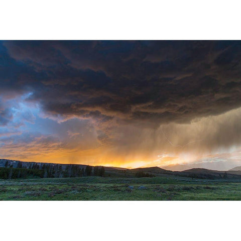 Thunderstorm at Sunset, Swan Lake Flat, Yellowstone National Park Gold Ornate Wood Framed Art Print with Double Matting by The Yellowstone Collection