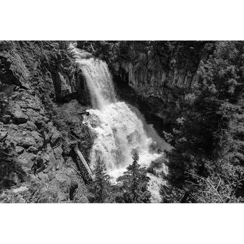 Undine Falls from the Lava Creek Trail, Yellowstone National Park Black Modern Wood Framed Art Print with Double Matting by Frank, Jacob W.