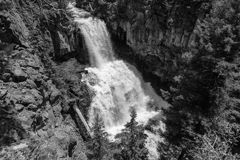 Undine Falls from the Lava Creek Trail, Yellowstone National Park White Modern Wood Framed Art Print with Double Matting by Frank, Jacob W.