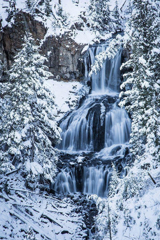 Undine Falls, Yellowstone National Park Black Ornate Wood Framed Art Print with Double Matting by The Yellowstone Collection