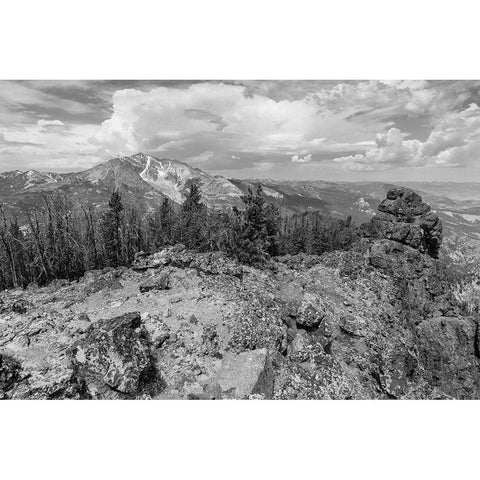 View from Sepulcher Mountain Summit, Yellowstone National Park Gold Ornate Wood Framed Art Print with Double Matting by Frank, Jacob W.