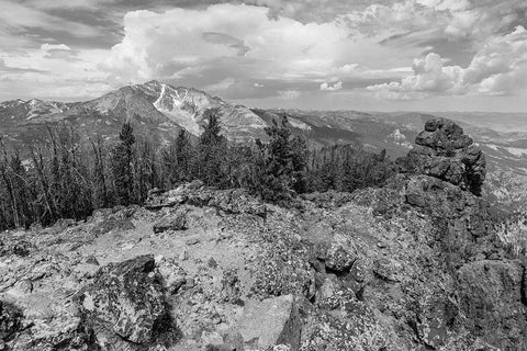 View from Sepulcher Mountain Summit, Yellowstone National Park Black Ornate Wood Framed Art Print with Double Matting by Frank, Jacob W.