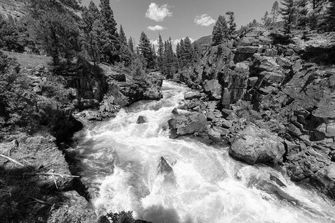 Views of Helloraring Creek, Yellowstone National Park White Modern Wood Framed Art Print with Double Matting by Frank, Jacob W.