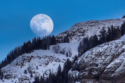 Waxing Moon, Lamar Valley, Yellowstone National Park White Modern Wood Framed Art Print with Double Matting by The Yellowstone Collection