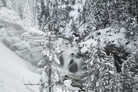 Winter at Firehole Falls, Yellowstone National Park White Modern Wood Framed Art Print with Double Matting by The Yellowstone Collection