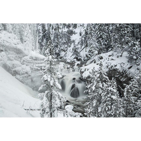 Winter at Firehole Falls, Yellowstone National Park Gold Ornate Wood Framed Art Print with Double Matting by The Yellowstone Collection