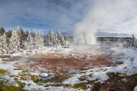 Winter at Fountain Paint Pot, Yellowstone National Park White Modern Wood Framed Art Print with Double Matting by The Yellowstone Collection