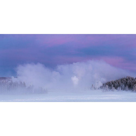 Winter Dawn, Upper Geyser Basin, Yellowstone National Park White Modern Wood Framed Art Print by The Yellowstone Collection