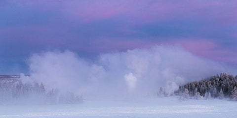 Winter Dawn, Upper Geyser Basin, Yellowstone National Park White Modern Wood Framed Art Print with Double Matting by The Yellowstone Collection