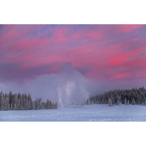 Winter Dawn, Upper Geyser Basin, Yellowstone National Park White Modern Wood Framed Art Print by The Yellowstone Collection