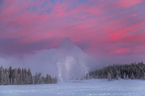 Winter Dawn, Upper Geyser Basin, Yellowstone National Park Black Ornate Wood Framed Art Print with Double Matting by The Yellowstone Collection