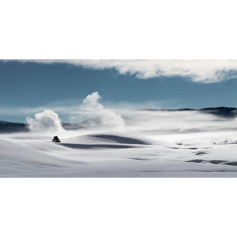 Winter in Hayden Valley, Yellowstone National Park White Modern Wood Framed Art Print by The Yellowstone Collection