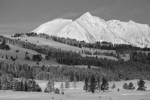 Winter Morning, Electric Peak, Yellowstone National Park White Modern Wood Framed Art Print with Double Matting by The Yellowstone Collection