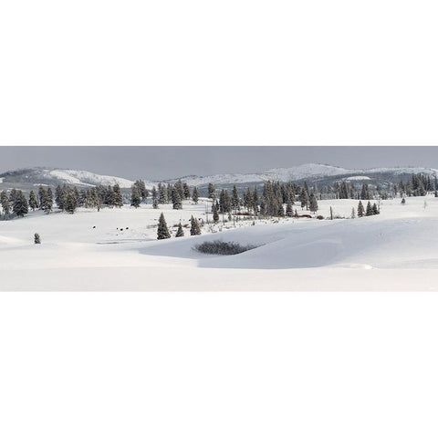 Winter Panorama, Blacktail Deer Plateau, Yellowstone National Park Black Modern Wood Framed Art Print with Double Matting by The Yellowstone Collection