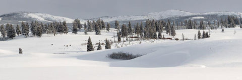 Winter Panorama, Blacktail Deer Plateau, Yellowstone National Park Black Ornate Wood Framed Art Print with Double Matting by The Yellowstone Collection