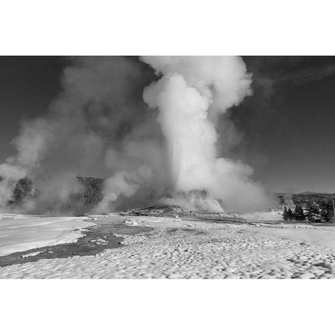 Winter Solstice Castle Geyser Eruption, Yellowstone National Park White Modern Wood Framed Art Print by Frank, Jacob W.